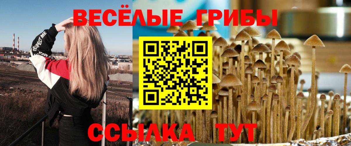Псилоцибиновые грибы Magic Shrooms  Вход с VPN  Псилоцибиновые грибы Magic Shrooms  Псков 